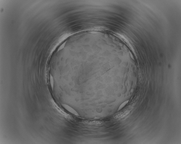 X0000087330851200705181034