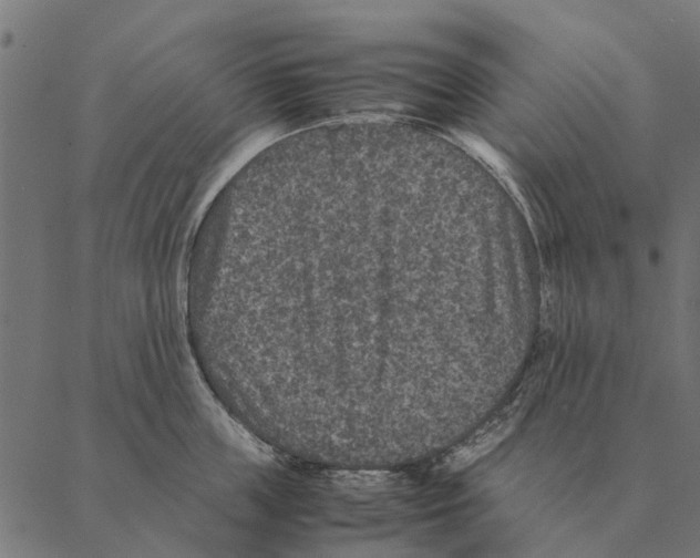 X0000087330859200705181034