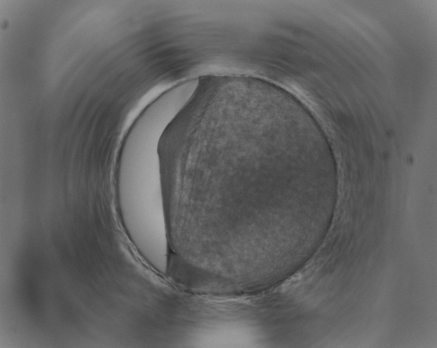 X0000087330864200705181034