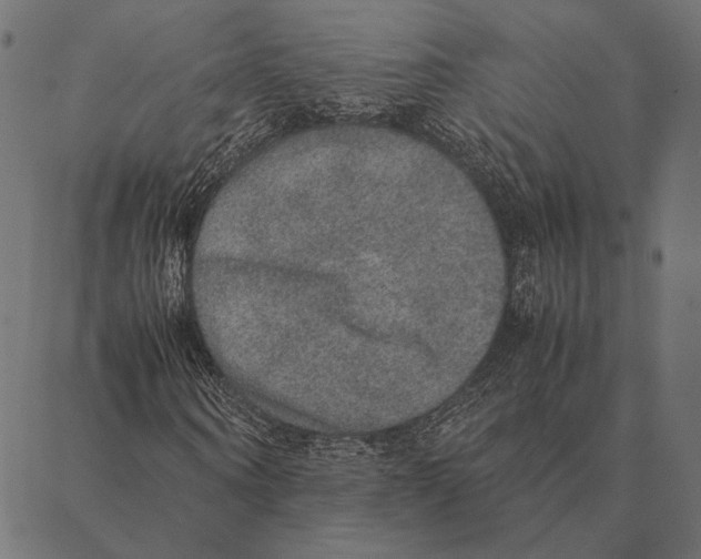 X0000087330866200705181034