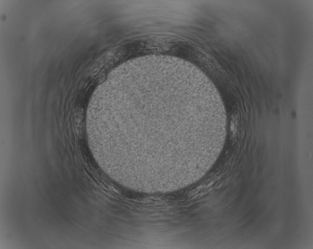 X0000087330867200705181034