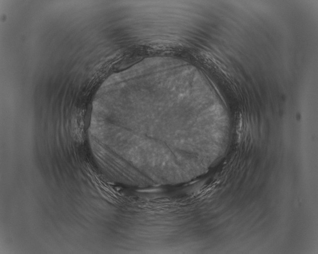 X0000087330868200705181034