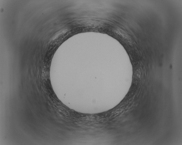 X0000087330869200705181034