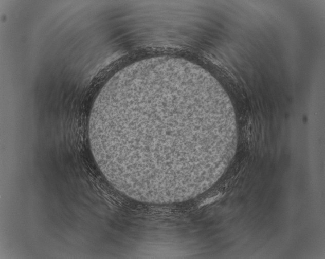 X0000087330870200705181034