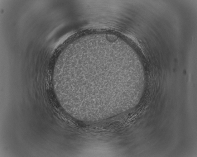 X0000087330871200705181033