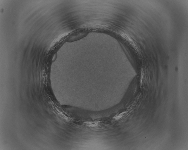 X0000087330872200705181033