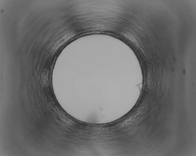 X0000087330873200705181033