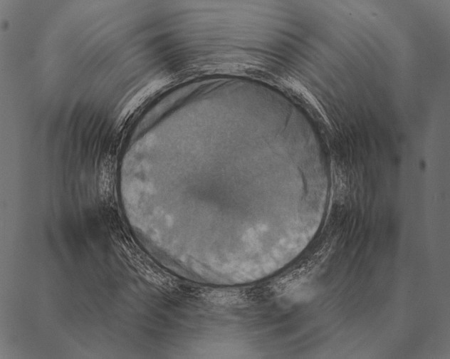 X0000087330874200705181033
