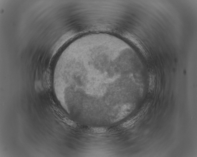 X0000087330878200705181033