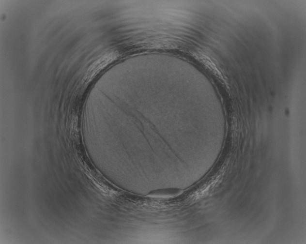 X0000087330881200705181033