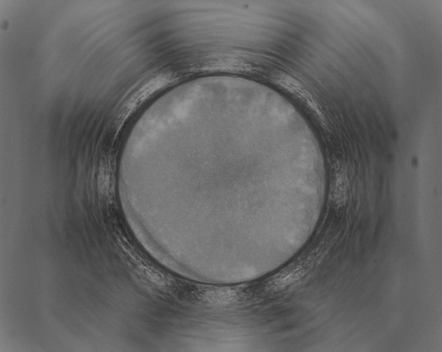 X0000087330882200705181033