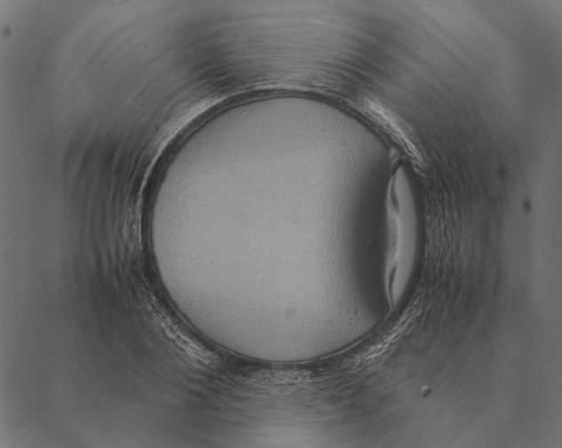X0000087330884200705181033