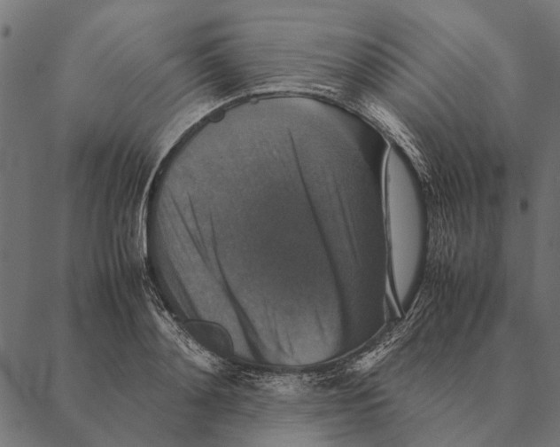X0000087330892200705181033
