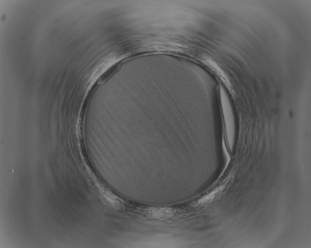 X0000087330893200705181033