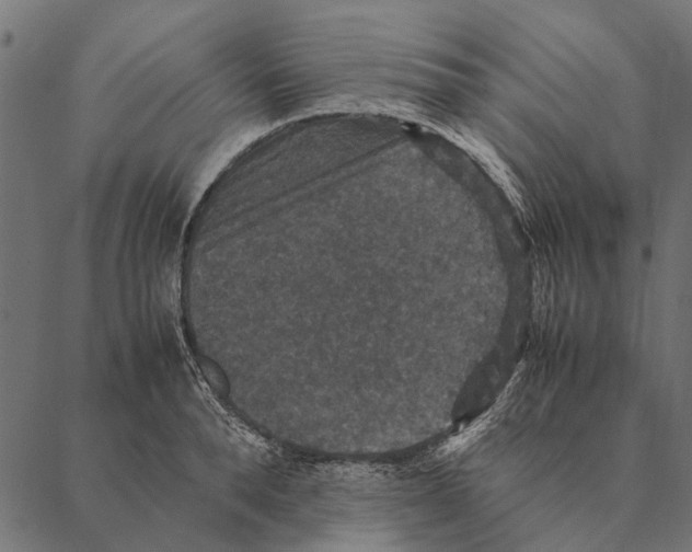 X0000087330896200705181033
