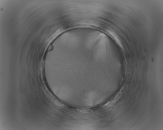 X0000087330899200705181033