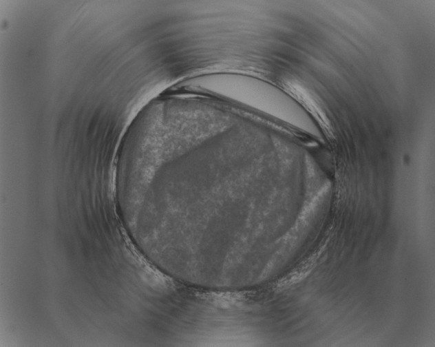 X0000087330900200705181033