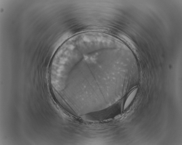 X0000087330907200705181033