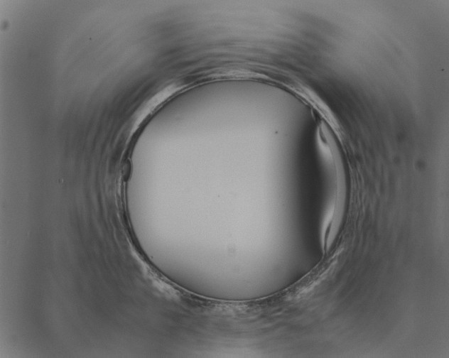 X0000087330909200705181033