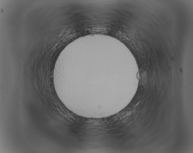 X0000087330913200705181032
