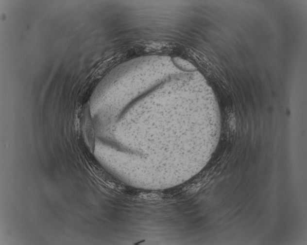 X0000087330914200705181032