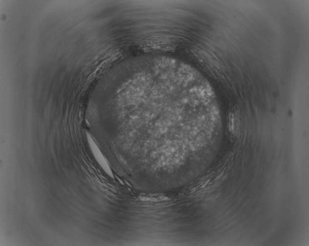 X0000087330915200705181032