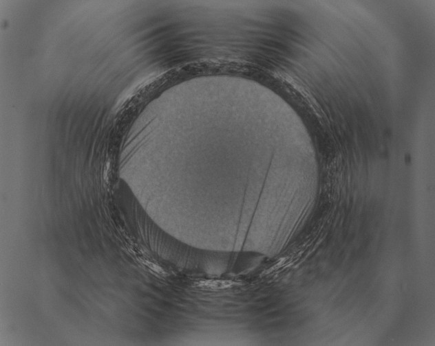 X0000087330919200705181032