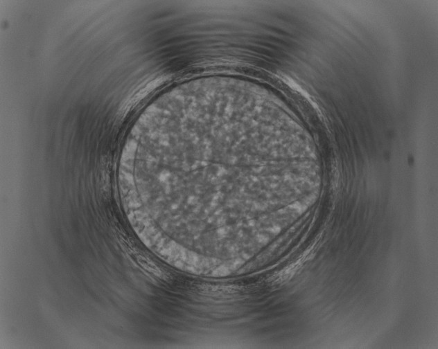 X0000087330921200705181032