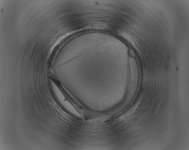 X0000087330923200705181032