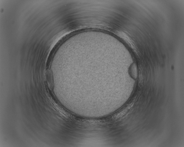 X0000087330924200705181032