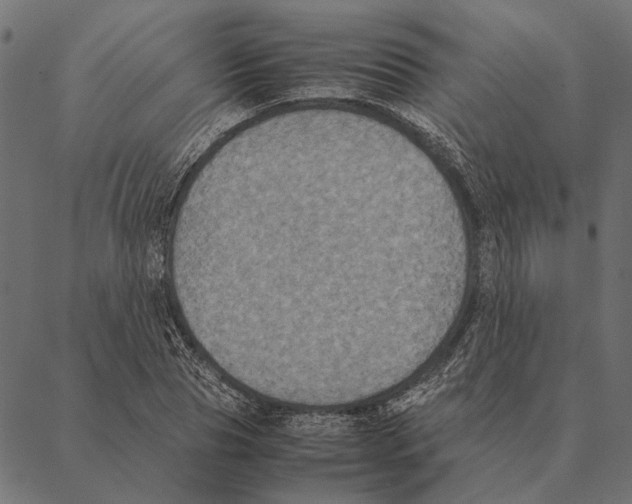 X0000087330929200705181032