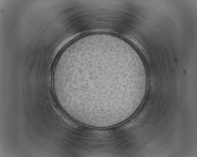 X0000087330933200705181032