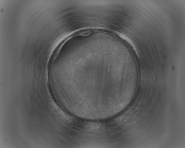 X0000087330935200705181032