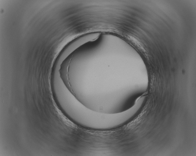 X0000087330942200705181033