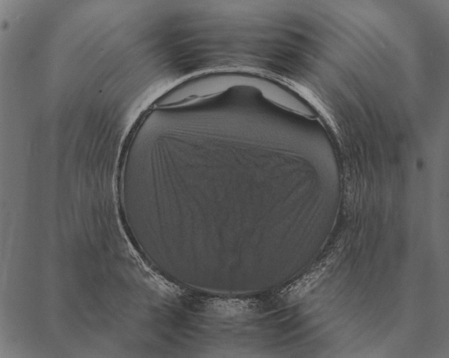 X0000087330943200705181033