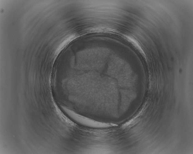 X0000087330946200705181033