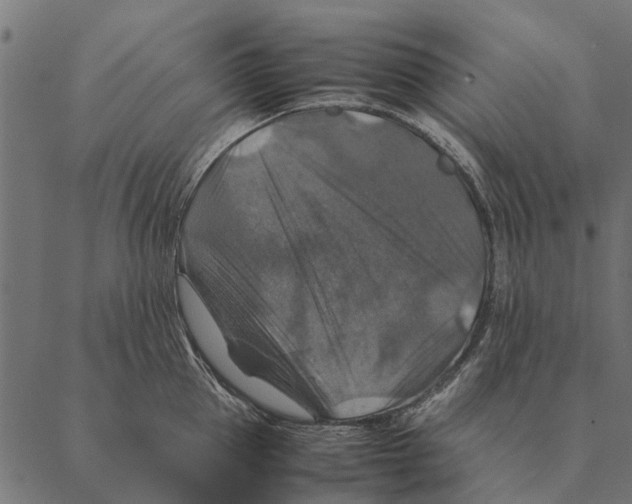 X0000087330953200705181033
