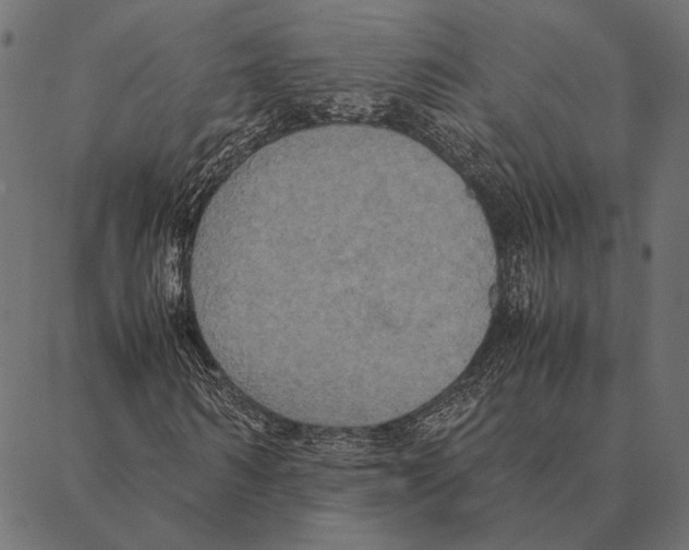 X0000087330962200705181032