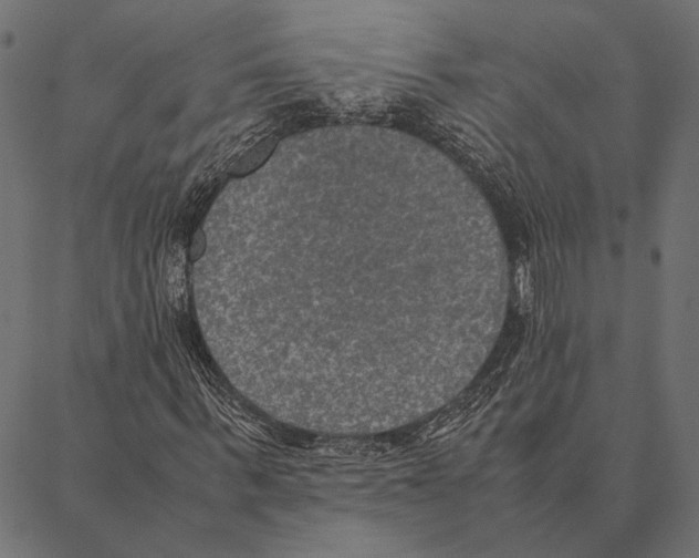 X0000087330963200705181032