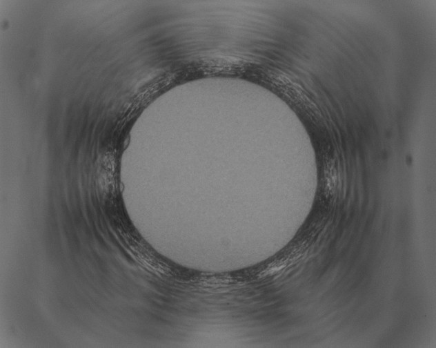 X0000087330964200705181032