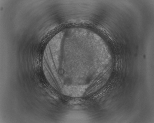 X0000087330966200705181032