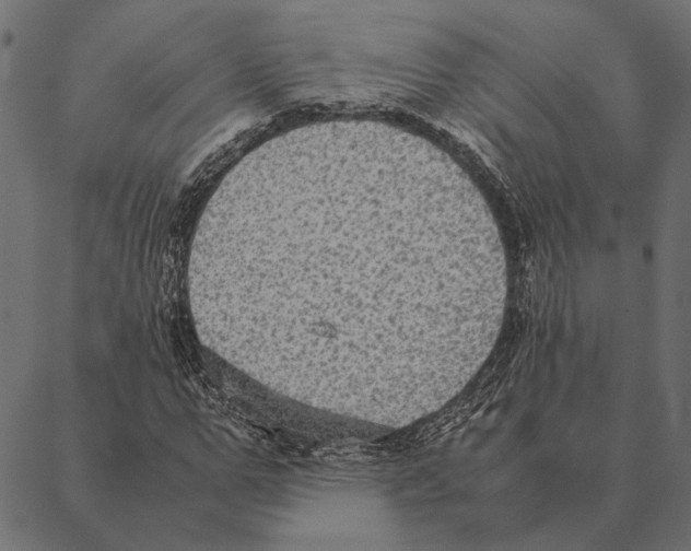 X0000087330967200705181032