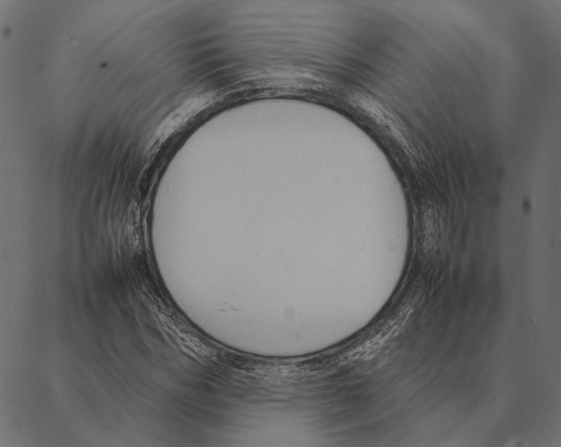 X0000087330970200705181032