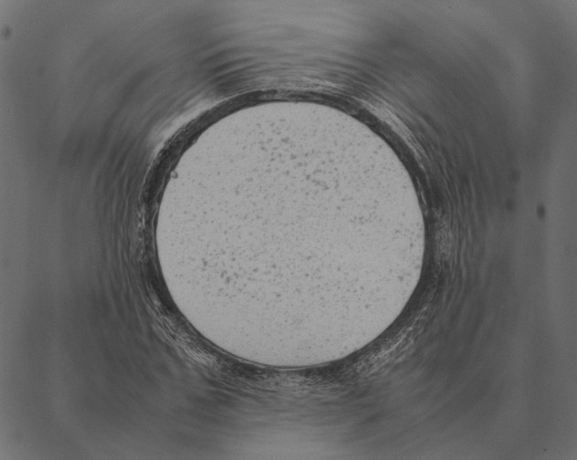 X0000087330971200705181032