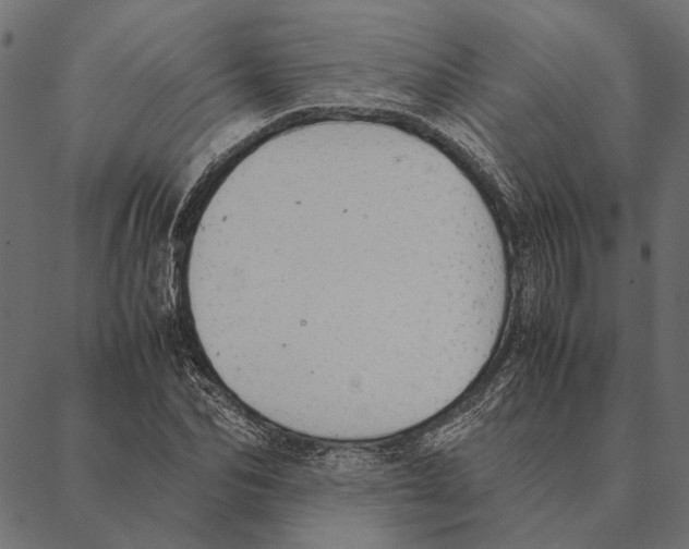 X0000087330974200705181032