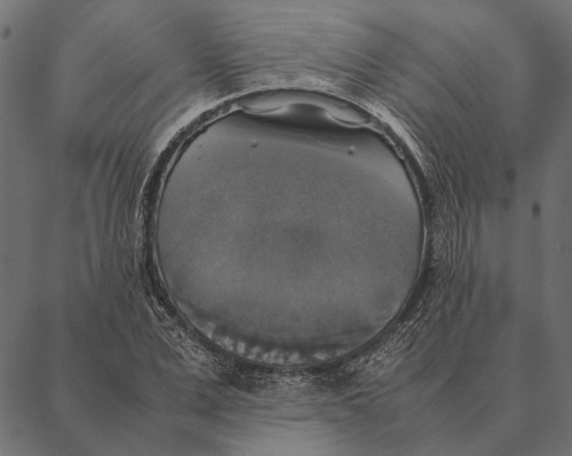 X0000087330975200705181032