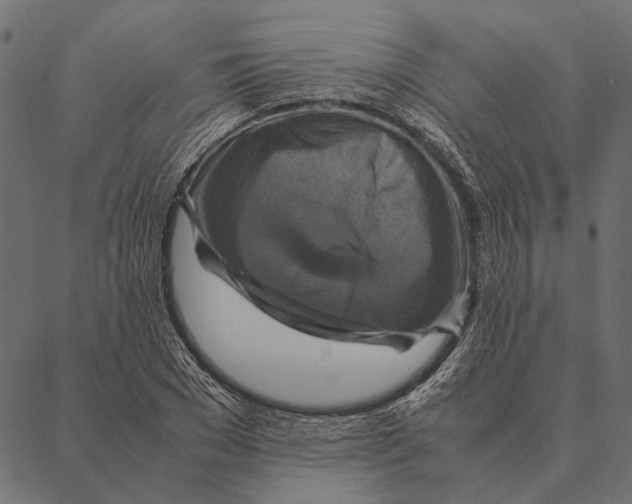 X0000087330977200705181032