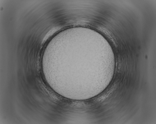 X0000087330978200705181032