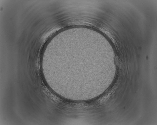 X0000087330979200705181032
