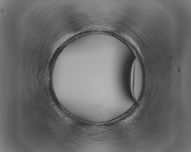X0000087330981200705181032